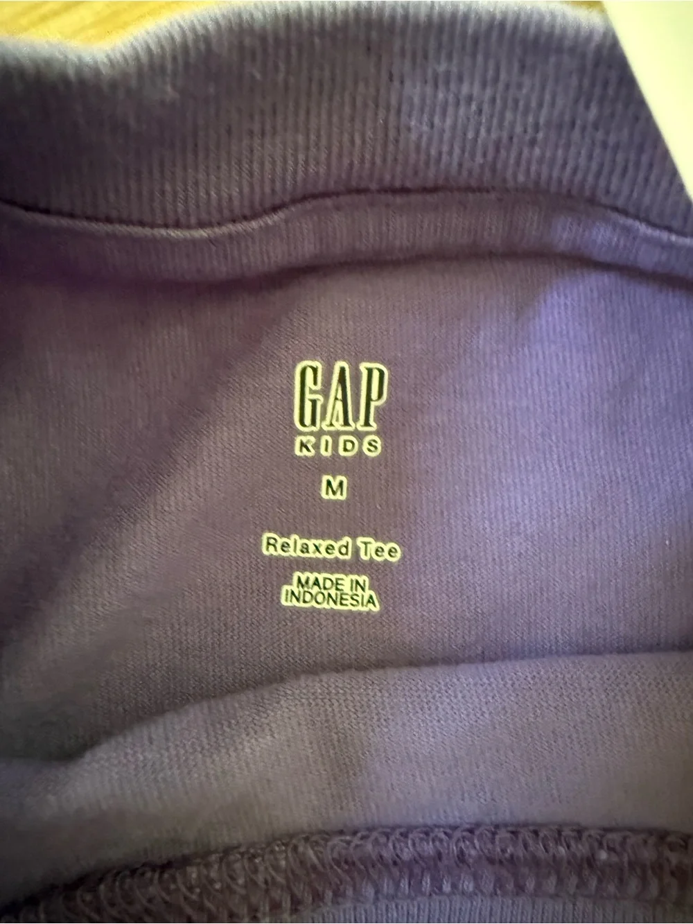 GAP Kids Purple Relaxed Tee